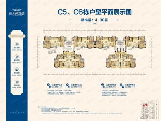 大汉龙城C5/C6栋户型平面户型图