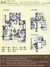 万科金色家园4室2厅3卫户型图