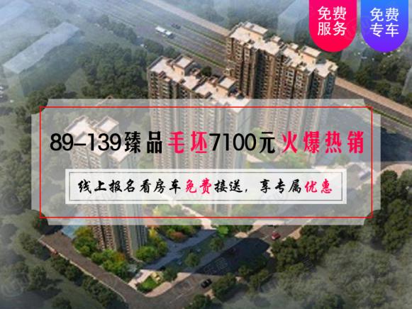 效果图