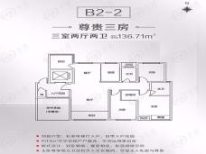 置地天中第一城上河苑B2-2户型图