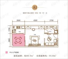 银河谷1室1厅1卫户型图