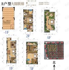 金科天宸3室2厅3卫户型图