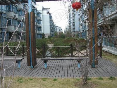 社区实景