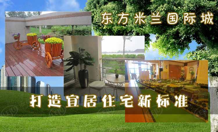 东方米兰国际城 图解看房