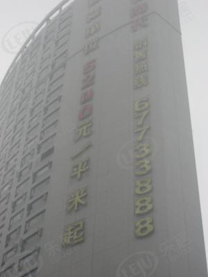 社区实景