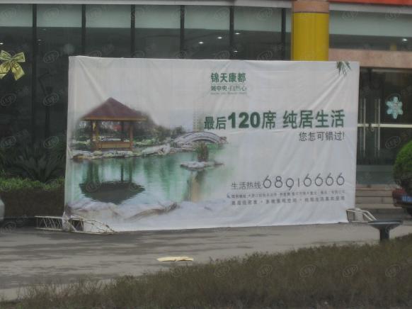 效果图