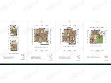 碧桂园·衡州盛世BJ240N[3-1S]户型图