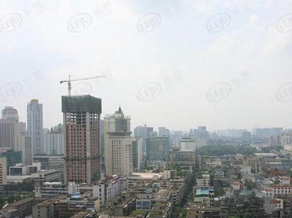 社区实景