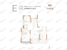 青岛中南·林樾E户型户型图