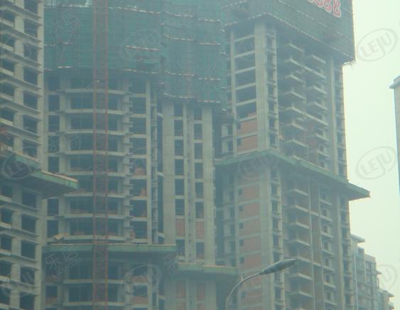 社区实景