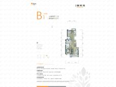 京北橡树湾B1户型户型图