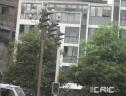 社区实景