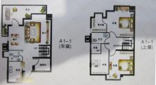 中央领地A1-1平层户型图