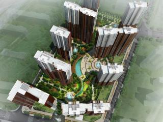 中建群星汇