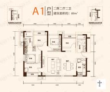 万科金域缇香A1户型两房两厅两卫户型图