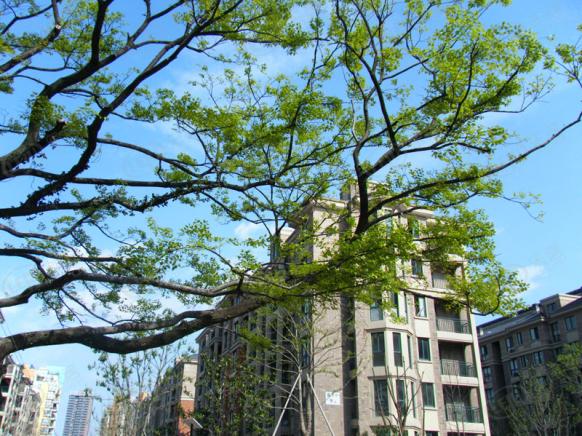 社区实景