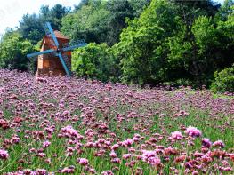 花果园社区实景