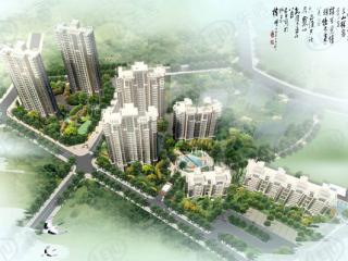 千城凤梧金沙