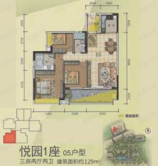 普君新城华府悦园1座 05户型户型图