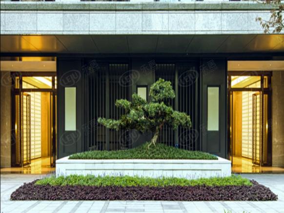社区实景