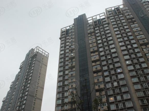 社区实景