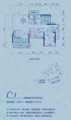 中国铁建江湾山语城C-2户型图