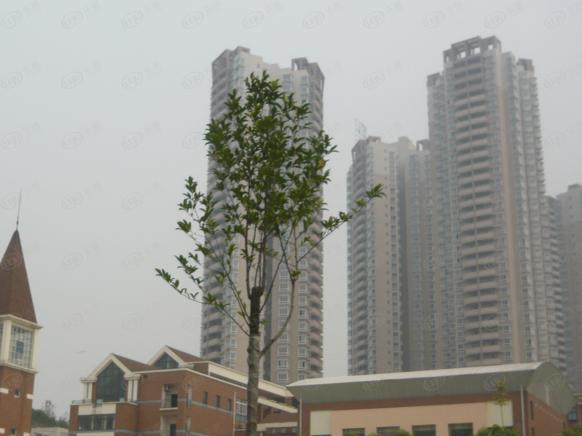 社区实景