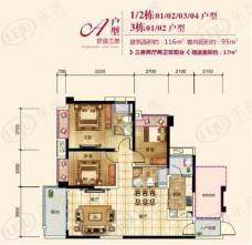 菊城国际广场A户型1/2栋01/02/03/04户型，3栋01/02户型户型图