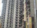 社区实景