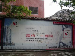 森柯·一馨园