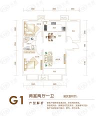 首创国际城G1二室二厅一卫户型图