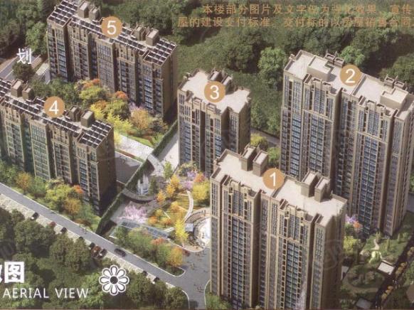 效果图