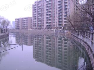 金典家园