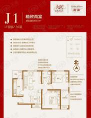 大观国际居住区二期J1户型精致两房户型图