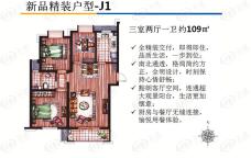 远洋悦庭新品户型图J1-109平米户型图