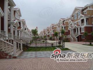 金桥爱丁堡
