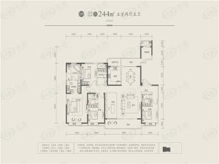 碧桂园云顶244㎡户型图