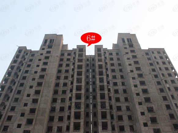 社区实景