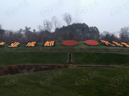 东都汇周边配套