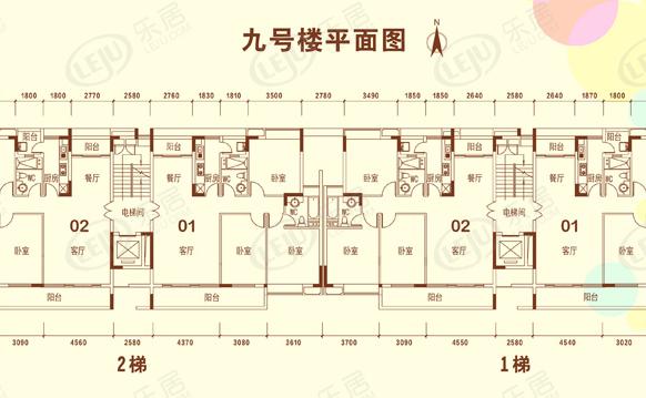 楼层平面图