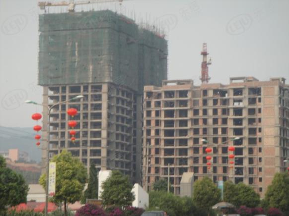 社区实景