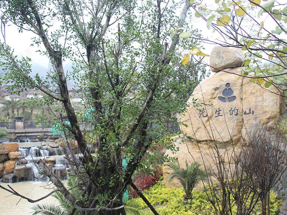 连江正恒先生的山，地处福州·贵安 潘渡乡仁华社区翠园路4号隶属于贵安，价格大概在9200左右。