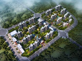 建业桂园