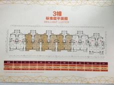 隆泰天璟雅居3室2厅2卫户型图