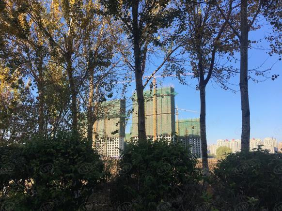 社区实景