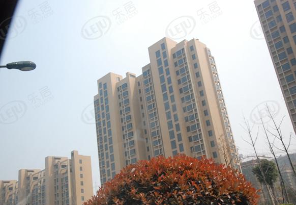 社区实景