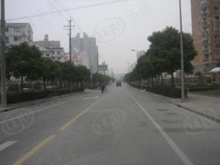 中新公寓