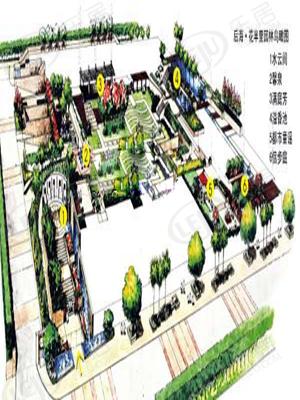 效果图