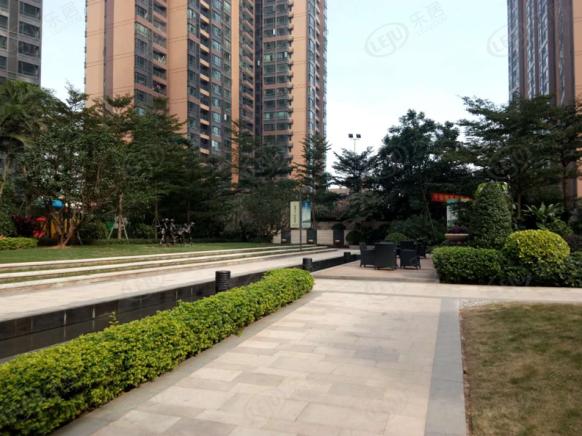 社区实景