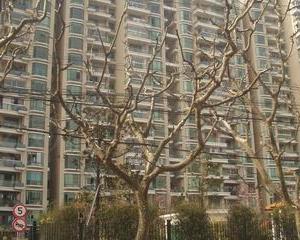 曹杨君悦苑一期